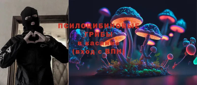 Галлюциногенные грибы Psilocybe  Белоозёрский 